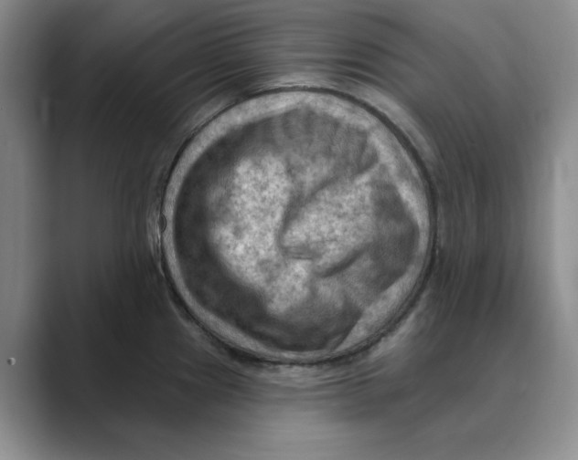 X0000088751241200706282159