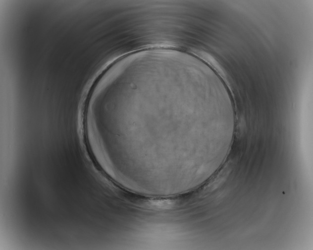 X0000088751243200706282159