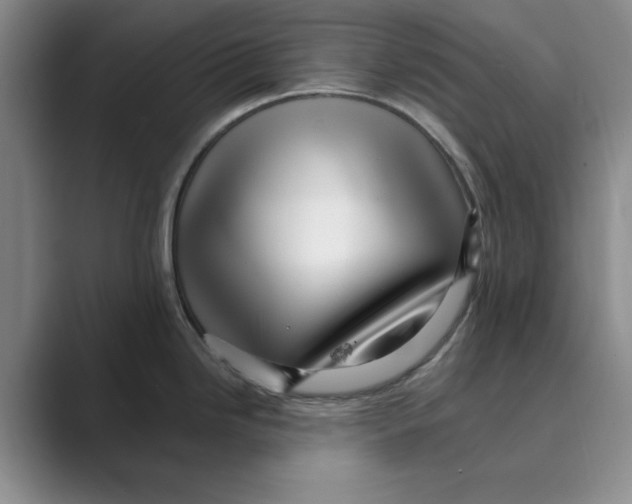 X0000088751246200706282159