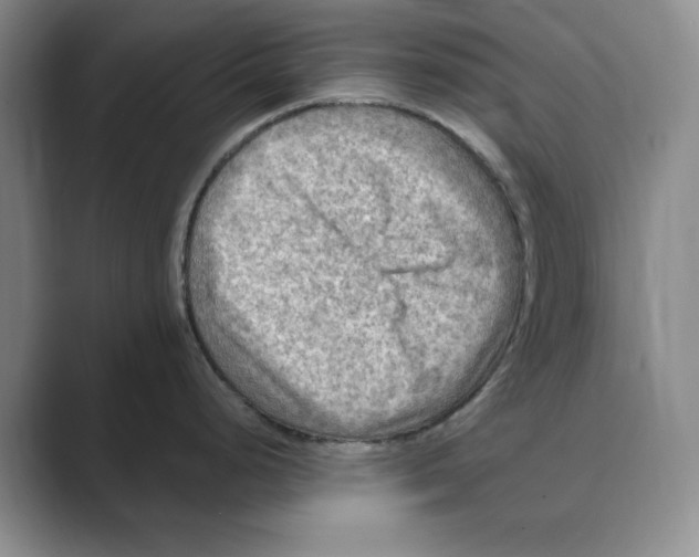 X0000088751248200706282159