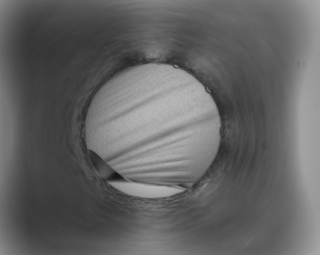 X0000088751249200706282158