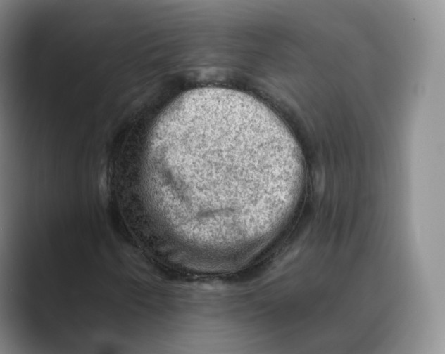 X0000088751250200706282158