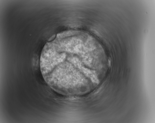 X0000088751251200706282158