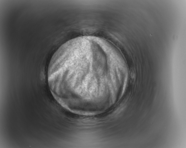 X0000088751252200706282158