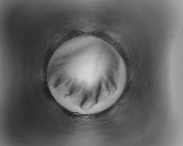 X0000088751253200706282158