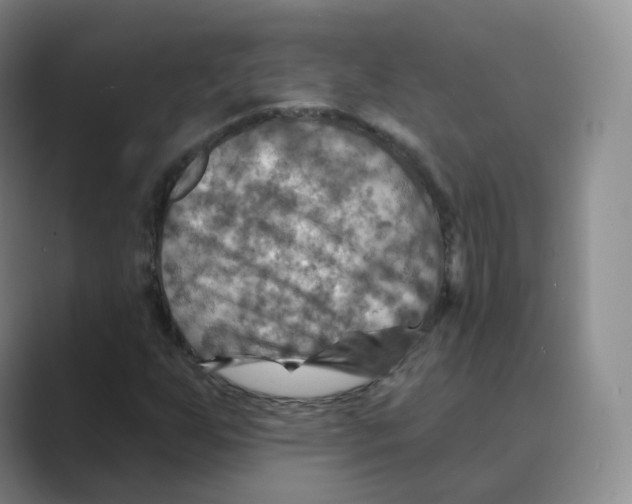 X0000088751255200706282158