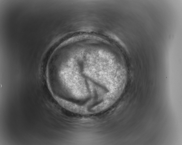 X0000088751256200706282158