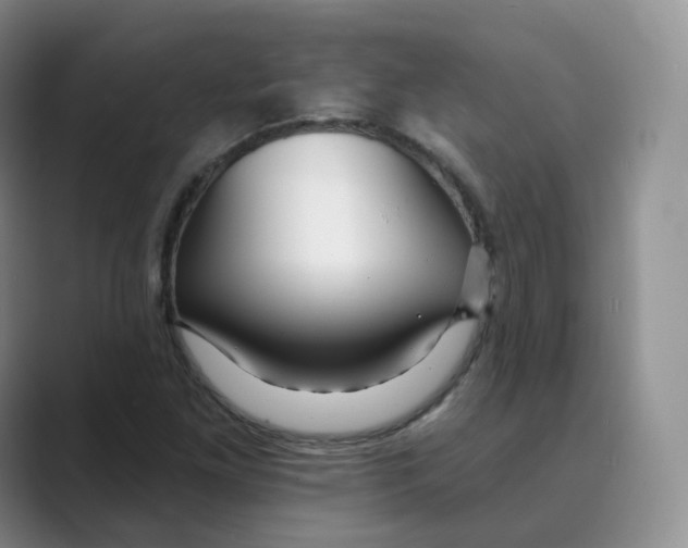 X0000088751261200706282158