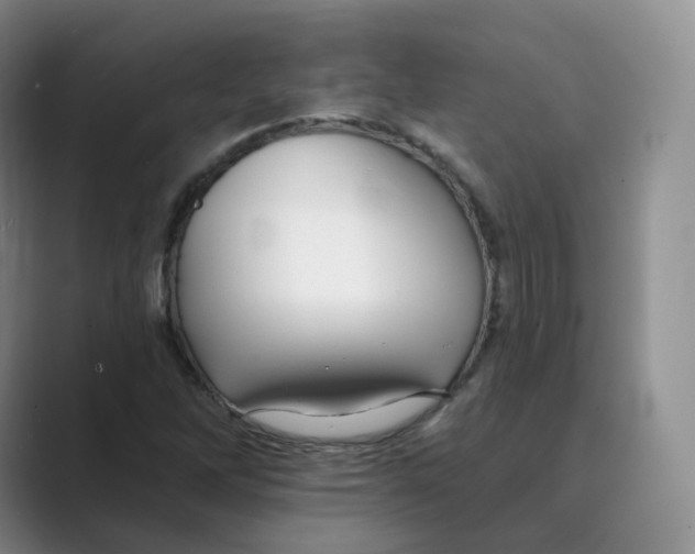 X0000088751262200706282158