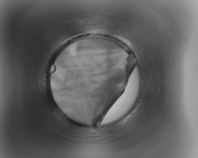 X0000088751263200706282158