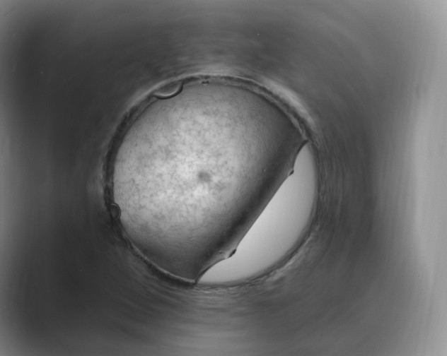 X0000088751264200706282158