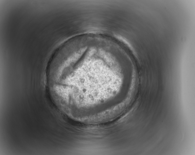 X0000088751267200706282158