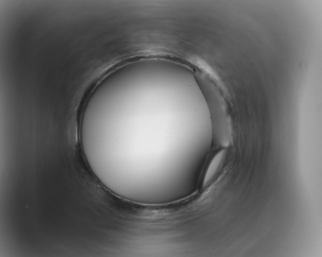 X0000088751269200706282158