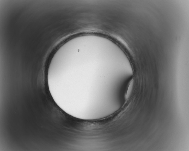 X0000088751270200706282158