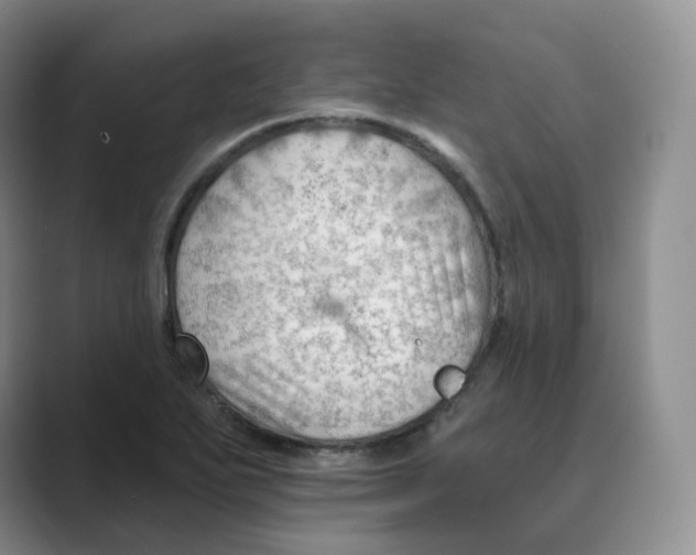 X0000088751271200706282158