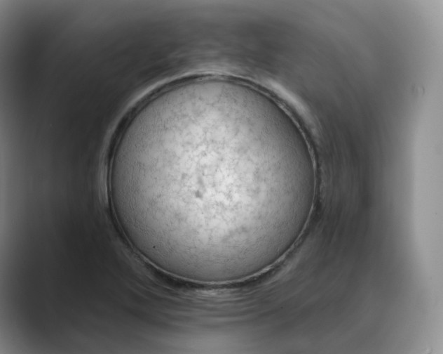 X0000088751272200706282158