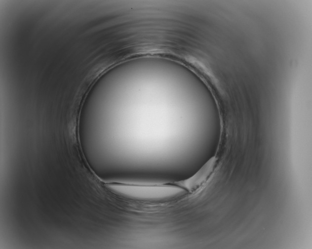 X0000088751273200706282158