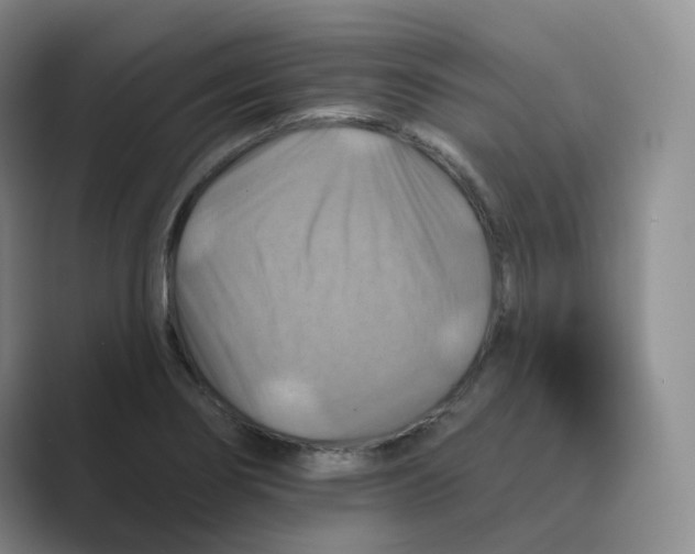 X0000088751274200706282158