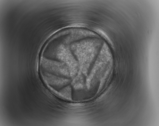 X0000088751276200706282158