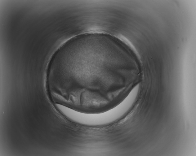 X0000088751277200706282158