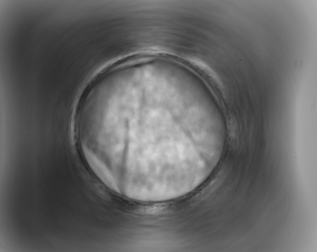 X0000088751278200706282158