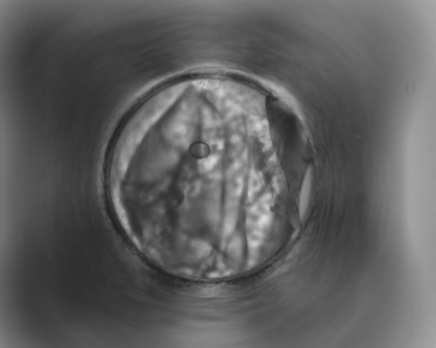 X0000088751279200706282158