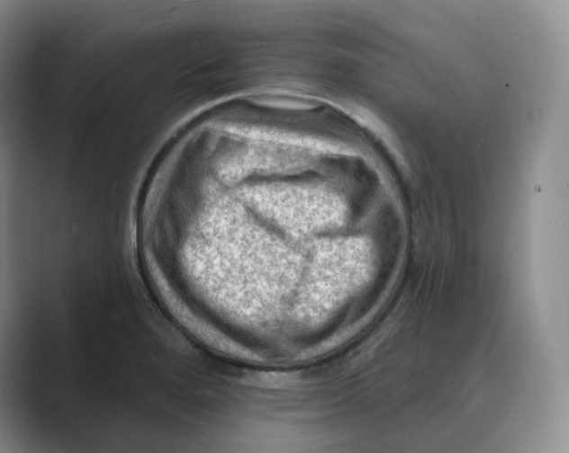 X0000088751280200706282158