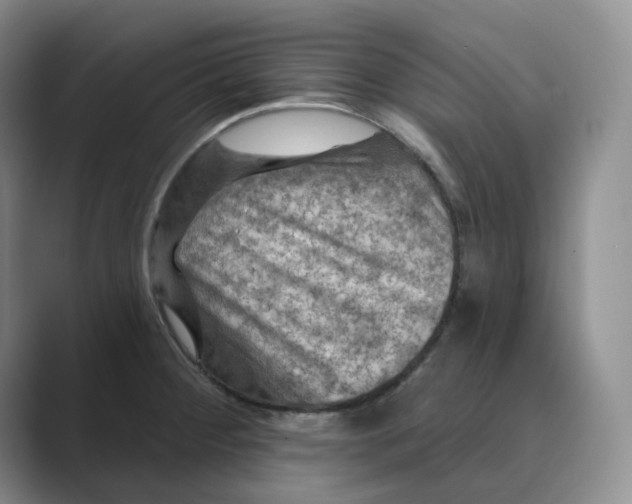 X0000088751284200706282158