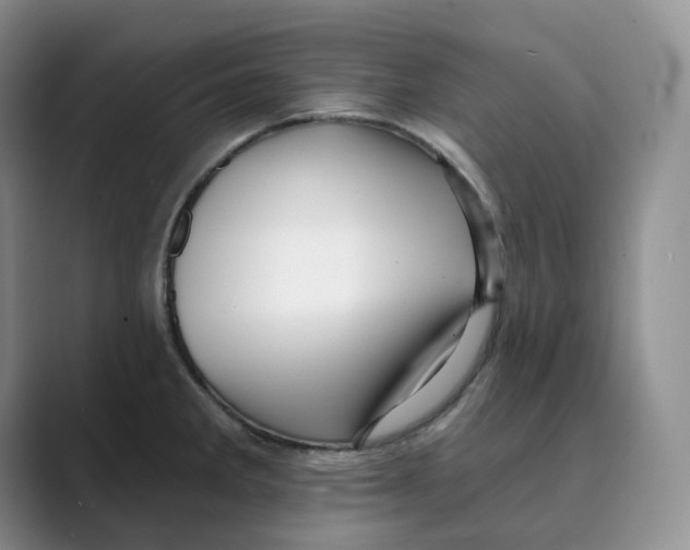 X0000088751285200706282158