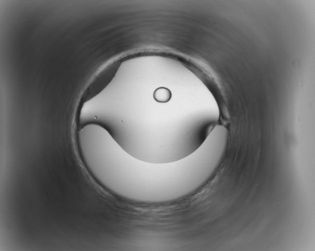 X0000088751287200706282158