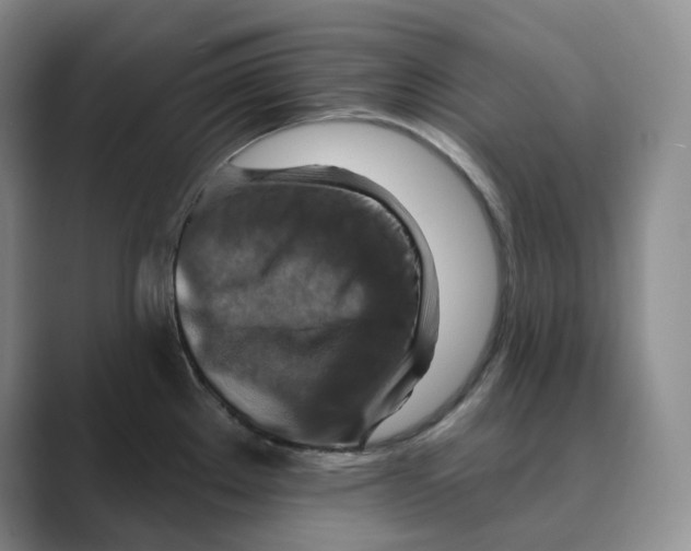 X0000088751289200706282158