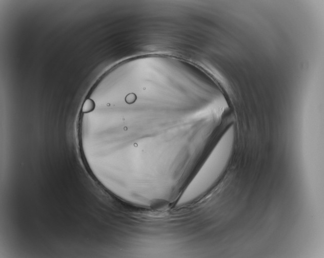 X0000088751291200706282158