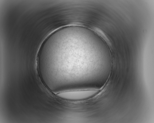 X0000088751292200706282158