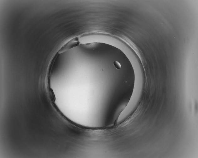 X0000088751293200706282158