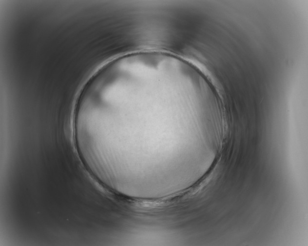 X0000088751294200706282158