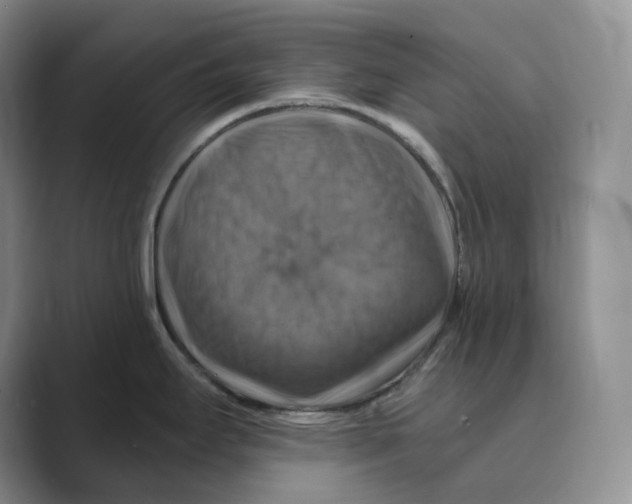 X0000088751295200706282158