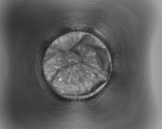 X0000088751297200706282157