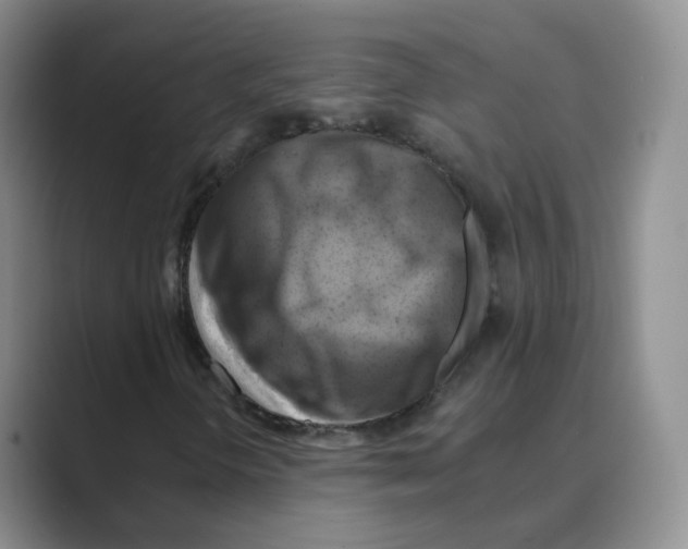 X0000088751298200706282157