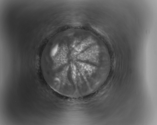 X0000088751301200706282157