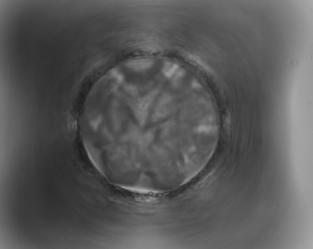 X0000088751302200706282157