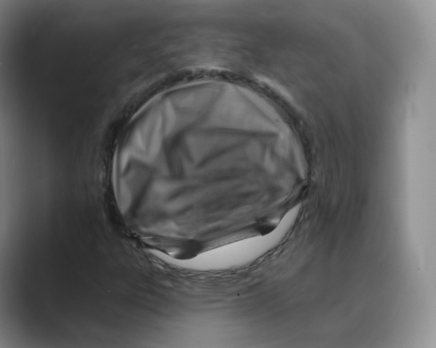 X0000088751303200706282157