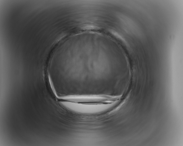 X0000088751305200706282157