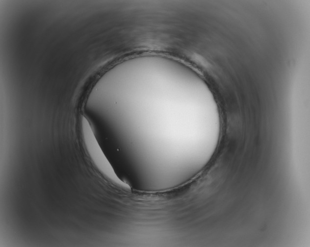 X0000088751307200706282157