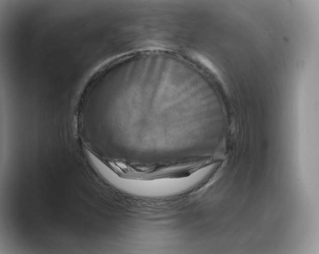 X0000088751310200706282157