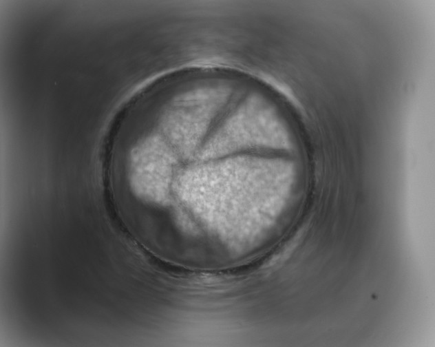 X0000088751311200706282157