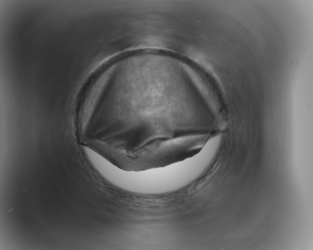 X0000088751312200706282157