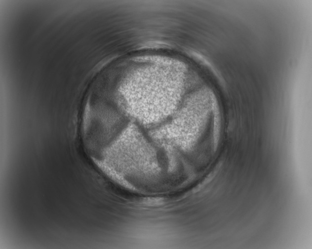 X0000088751313200706282157