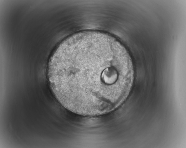 X0000088751314200706282157