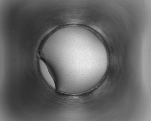 X0000088751317200706282157