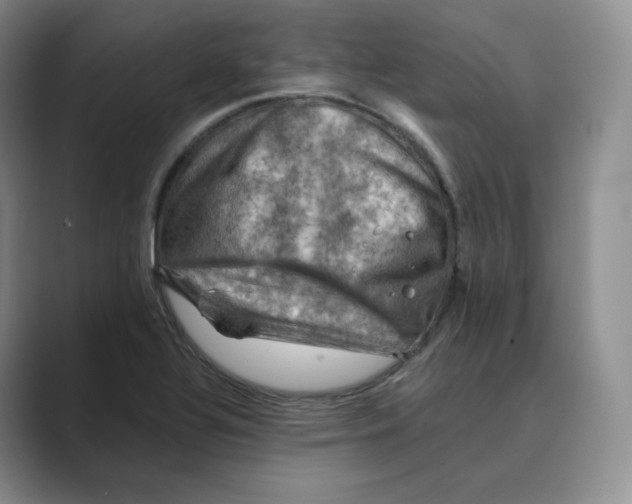 X0000088751320200706282157